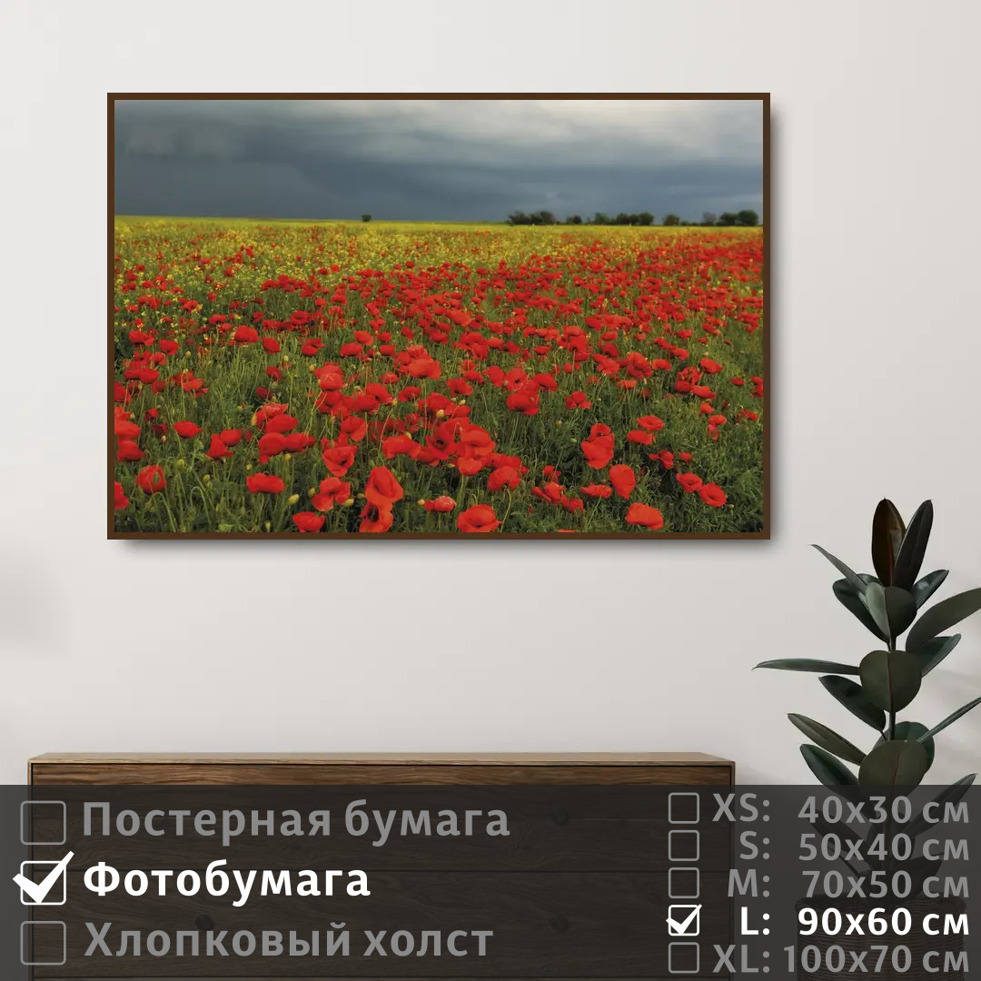 

Постер на фотобумаге ПолиЦентр Весенние полевые цветы маки 90х60 см, ВесенниеПолевыеЦветыМаки