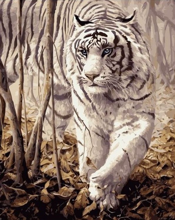

Живопись по номерам Paintboy Белый тигр 40x50, Белый тигр