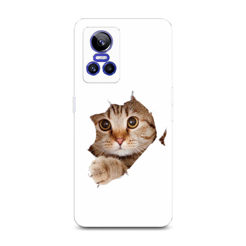 

Чехол на Realme GT Neo 3 "Кот и бумага", Белый;коричневый, 259050-1