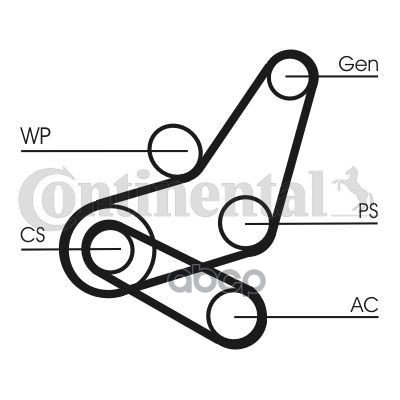 

Ремень Приводной Поликлиновой 6Pk1059/5Pk868 Ford Focus,C-Max (1.4/1.6) Комплект Contitech
