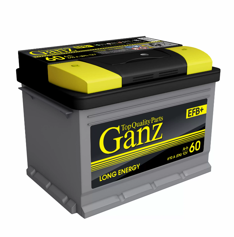 Аккумулятор Ganz Efb 100 А/Ч Обратная 352X175X190 En 840 А