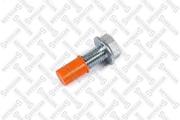 

89-00638-SX_болт крепления суппорта M18x55, DAF
