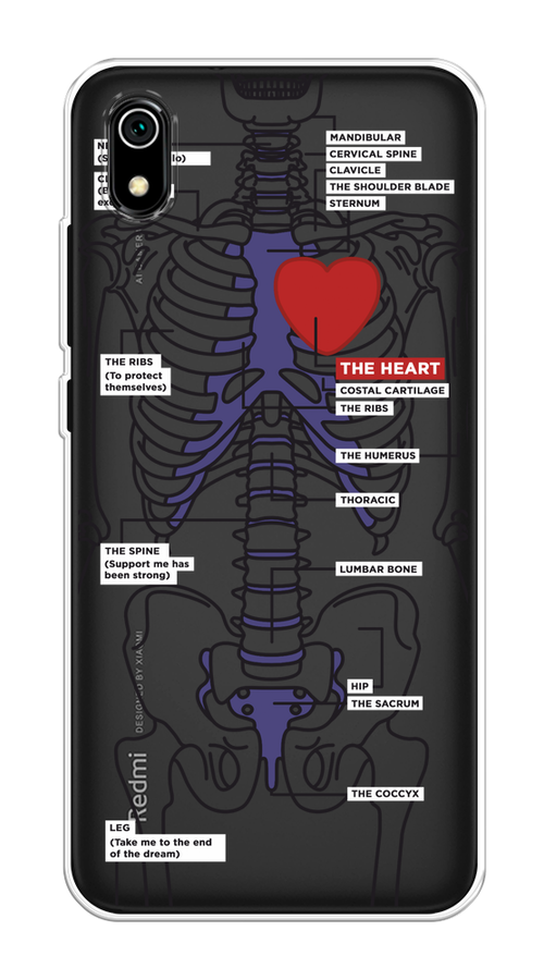 

Чехол на Xiaomi Redmi 7A "Скелет человека", Прозрачный;синий;красный, 35450-1