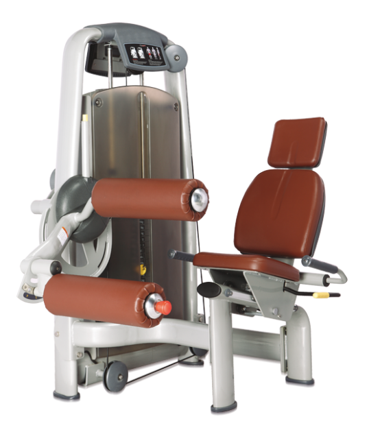 

Сгибание/разгибание ног Bronze Gym A9-013, A9-013