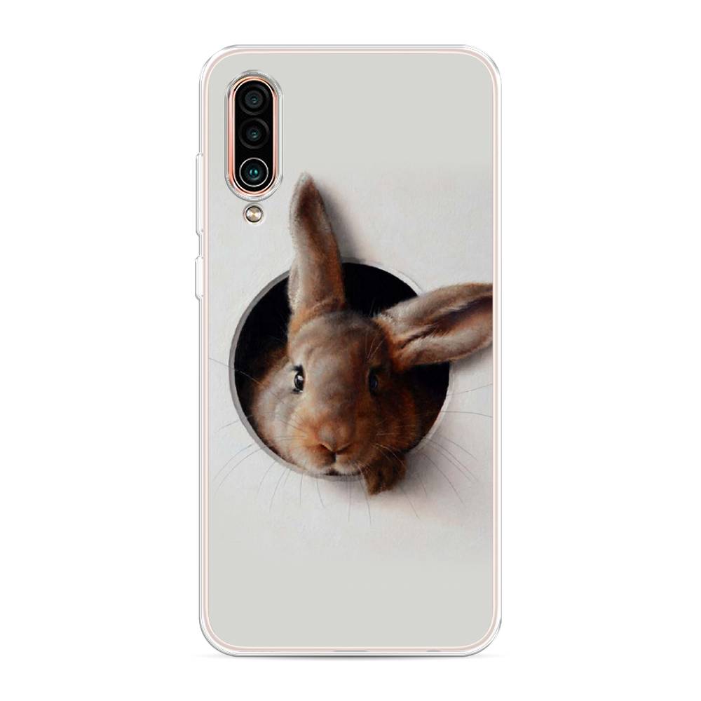 

Чехол на Meizu 16Xs "Любопытный кролик", Серый;коричневый, 73450-1