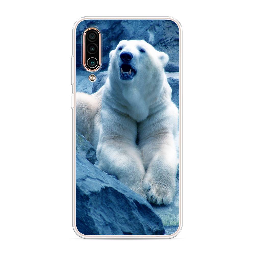 

Чехол на Meizu 16Xs "Белый медведь", Голубой;белый, 73450-1