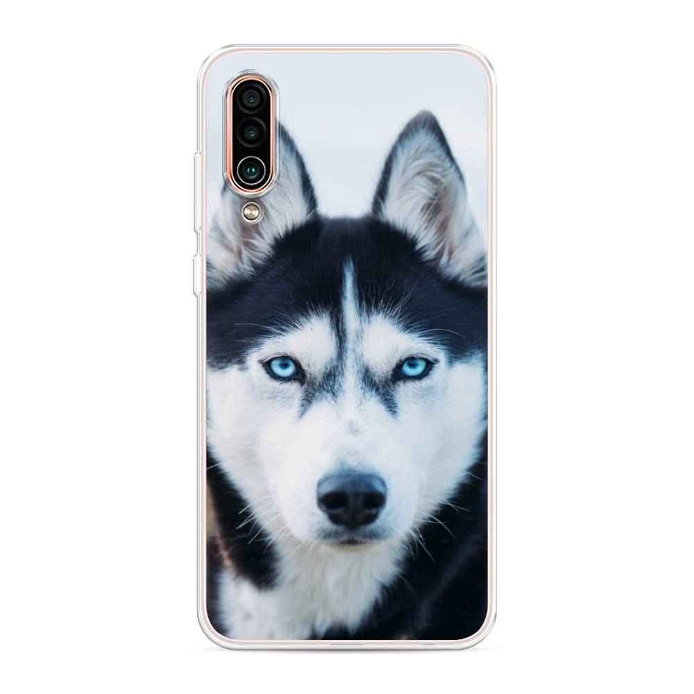 

Чехол на Meizu 16Xs "Хаски 2", Синий;белый, 73450-1