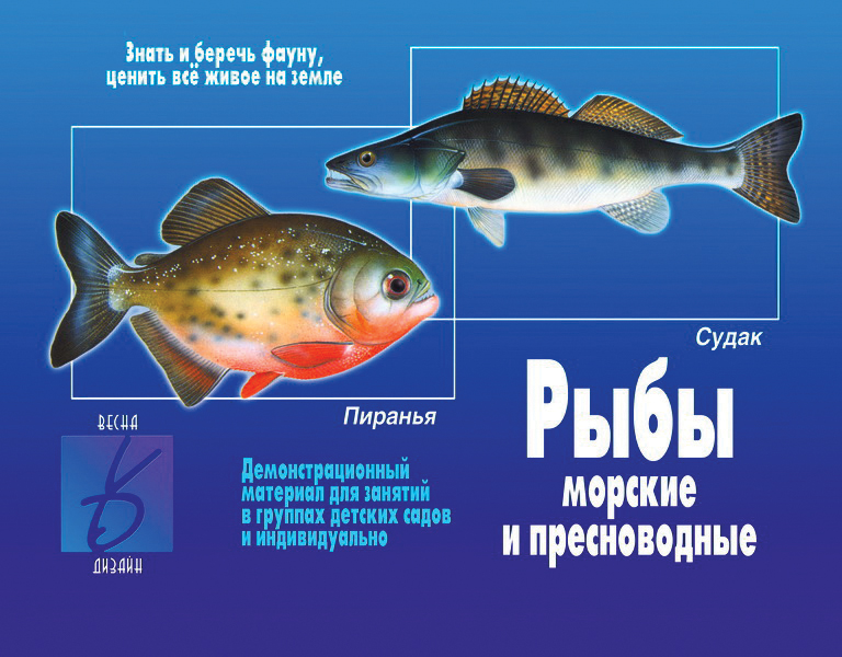 

Демонстрационный материал Рыбы морские и пресноводные