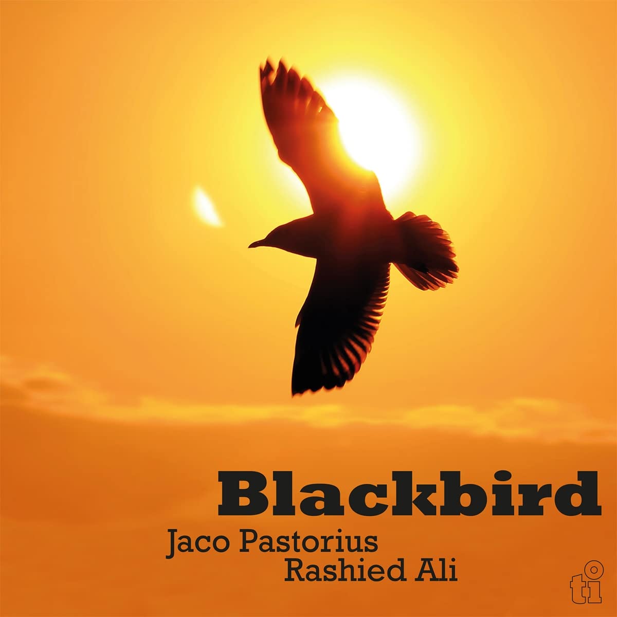 

Jaco Pastorius & Rashied Ali Blackbird (Translucent Yellow) (LP)