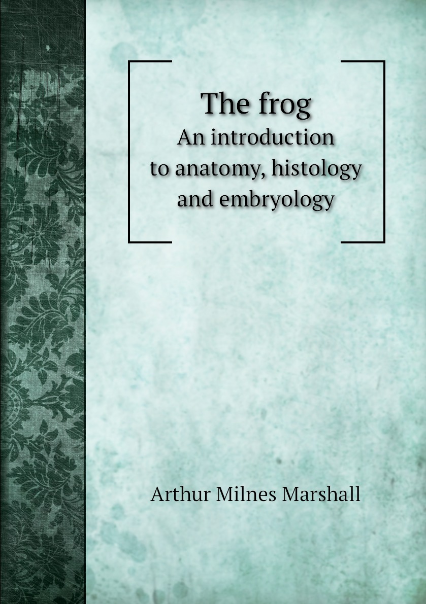 

The frog