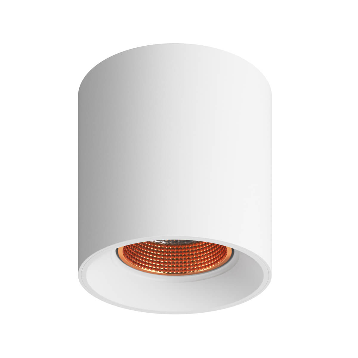 

Светильник потолочный Denkirs DK3040, DK3090-WBR, 10W, GU5.3