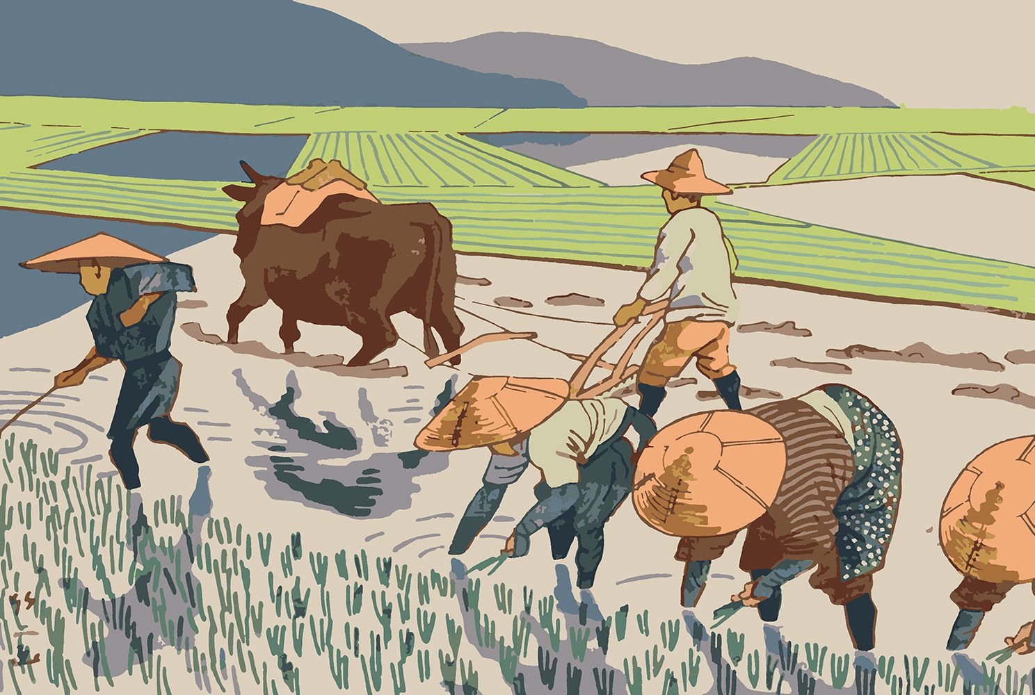 Крестьяне на рисовых полях