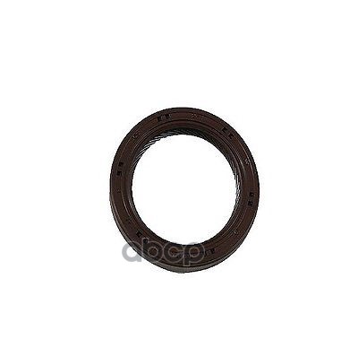 

Уплотнительное Кольцо Кпп 21421-22020 Nsin0020240769 Hyundai-KIA арт. 2142122020