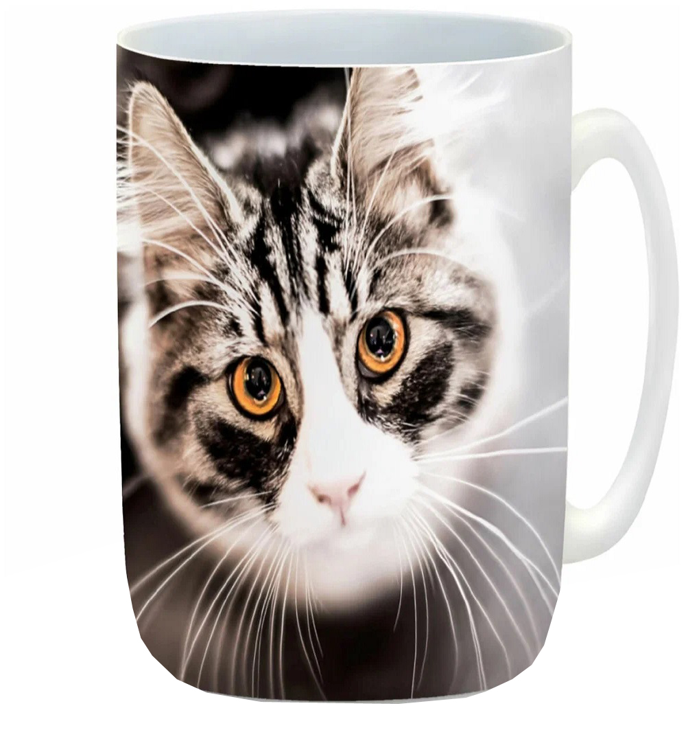 

Кружка CoolPodarok Кошка смотрит на верх