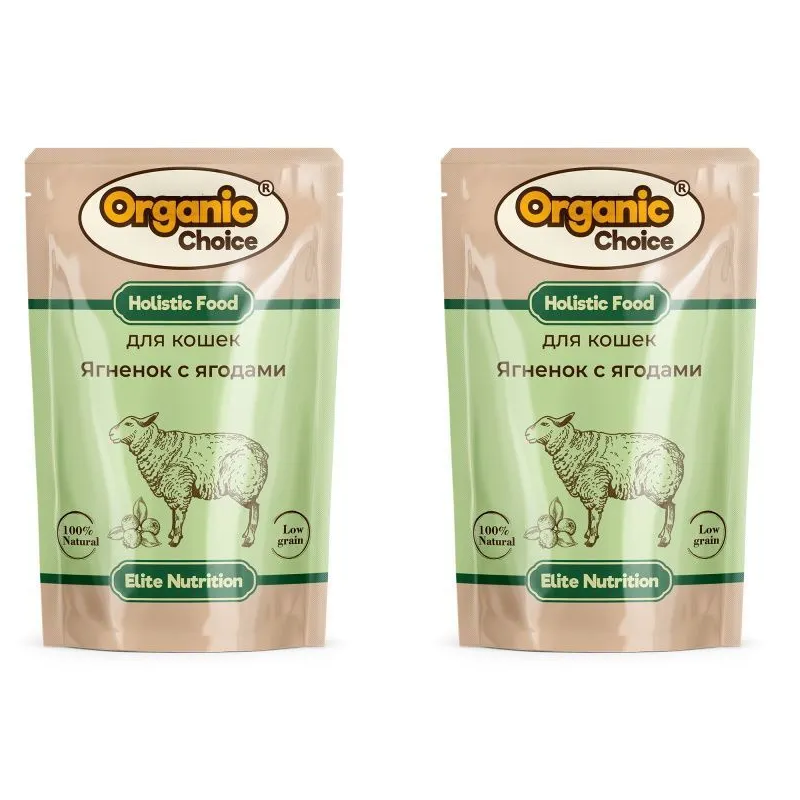 

Влажный корм для кошек Organic Сhoice ягненок с ягодами в соусе 2 шт по 85 г