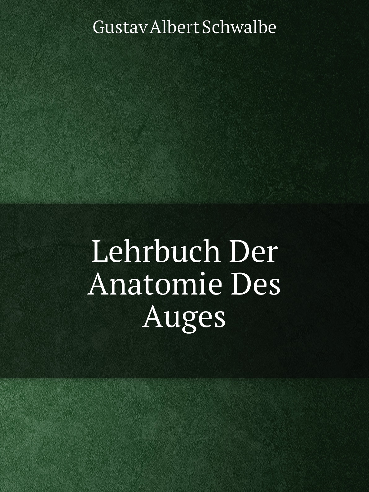 

Lehrbuch Der Anatomie Des Auges