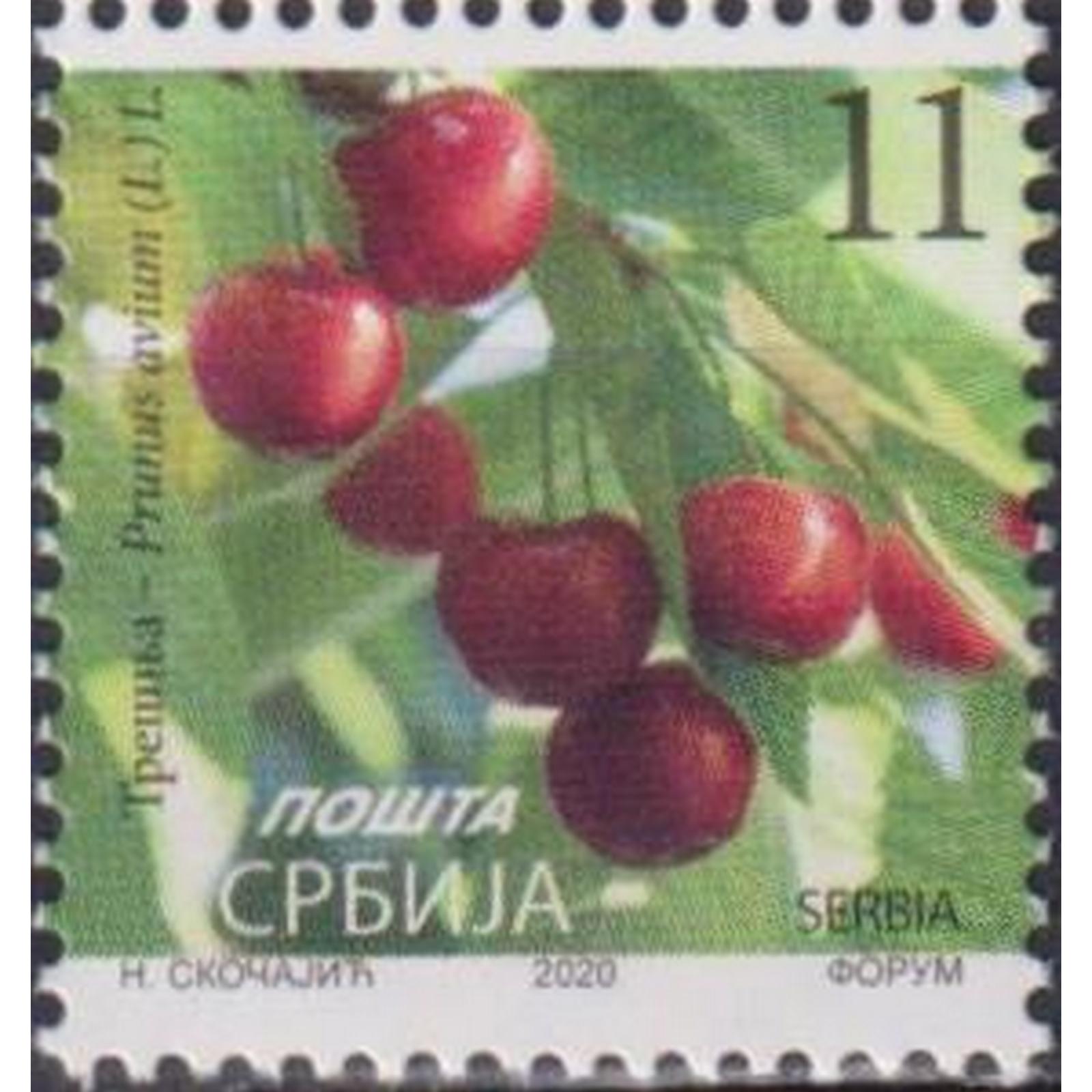 Почтовые марки Сербия Вишня - Prunus avium (L.) L. Флора, Фрукты