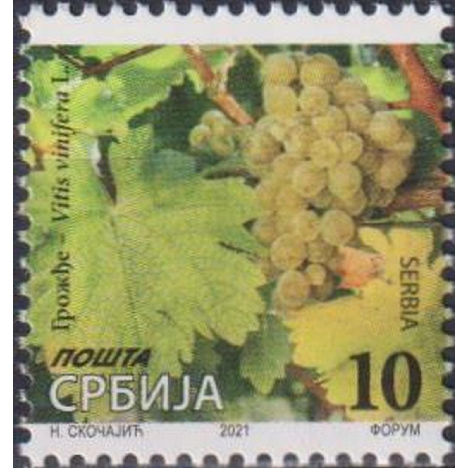 

Почтовые марки Сербия Виноград - Vitis vinifera L. Флора