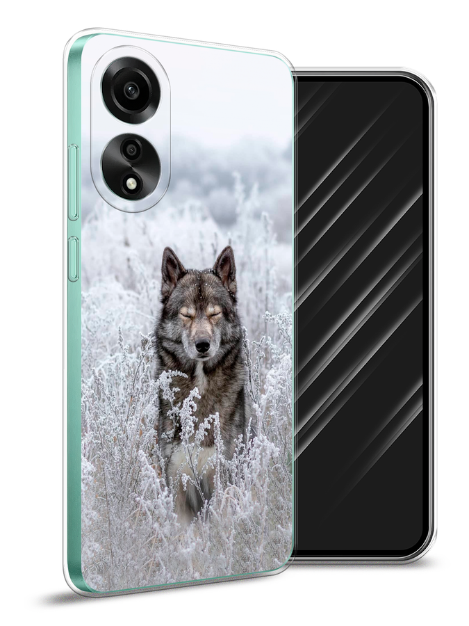 

Чехол Awog на Oppo A78 4G "Волк в поле", Белый;черный, 2514750-1