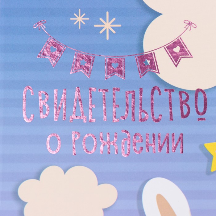 

Свидетельство о рождении Кролик тиснение, облака А5, Фиолетовый;разноцветный