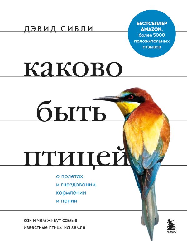 фото Книга каково быть птицей: о полетах и гнездовании, кормлении и пении… бомбора