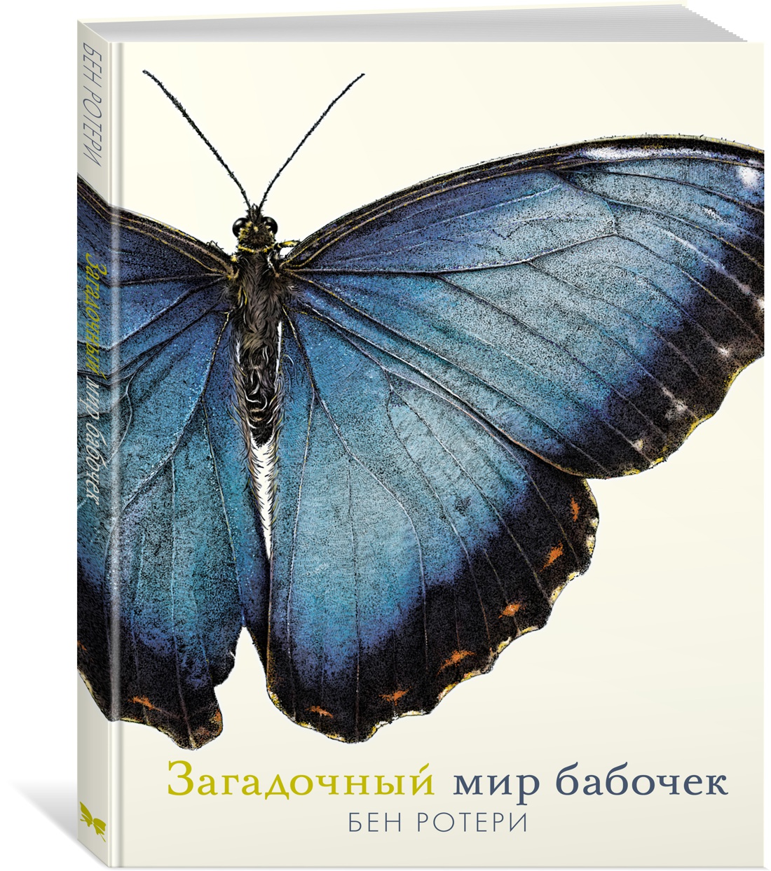 фото Книга загадочный мир бабочек махаон