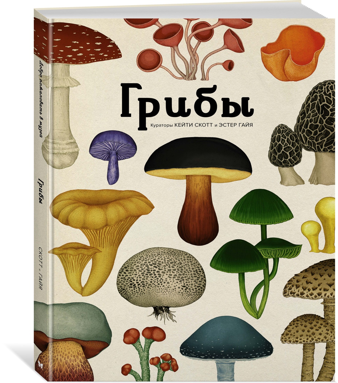 фото Книга грибы махаон