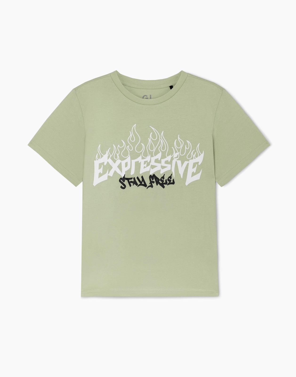 

Футболка для мальчика Gloria Jeans BKT015715 фисташковый 4-5л/110, Зеленый, BKT015715