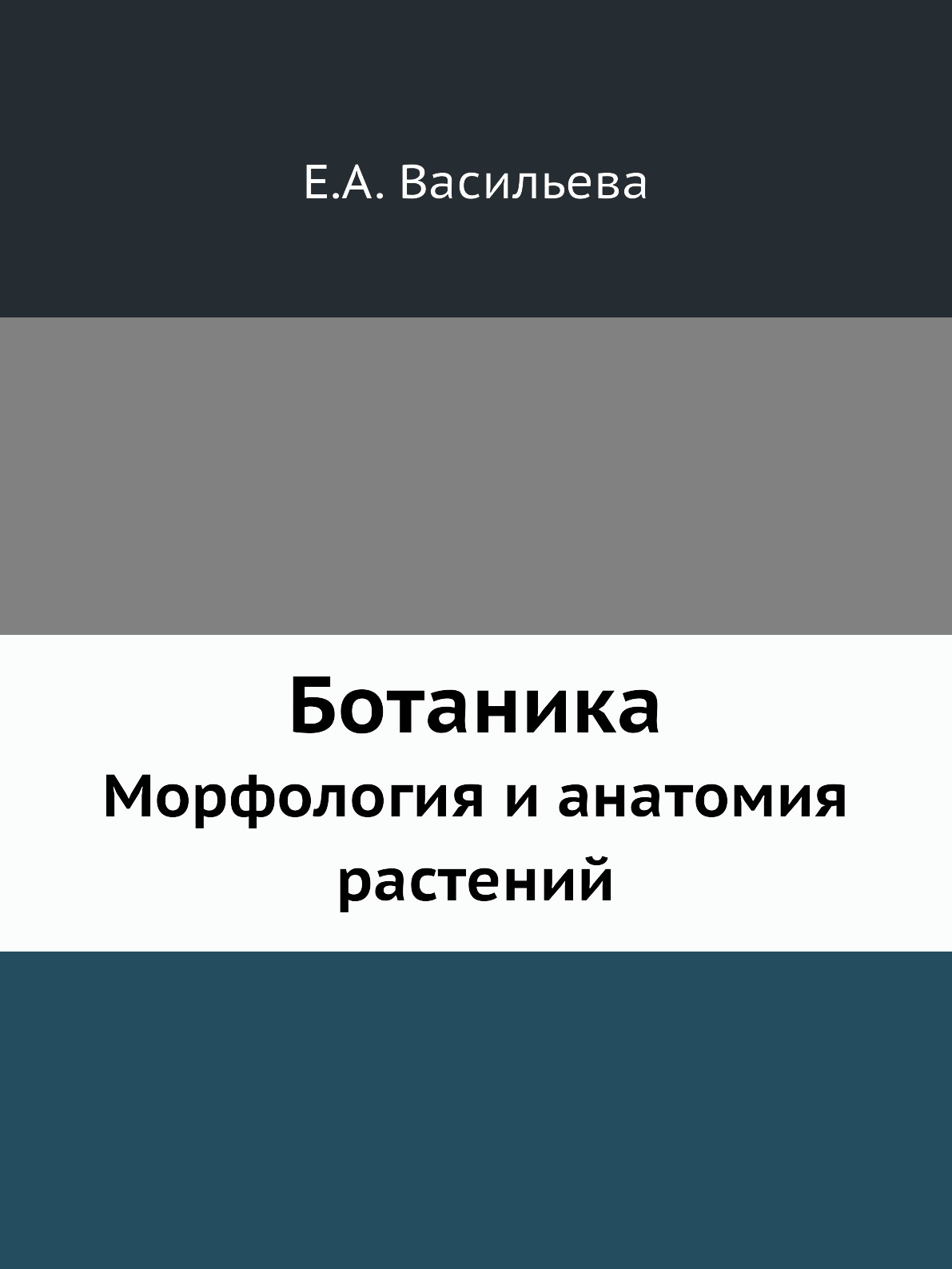 

Ботаника. Морфология и анатомия растений
