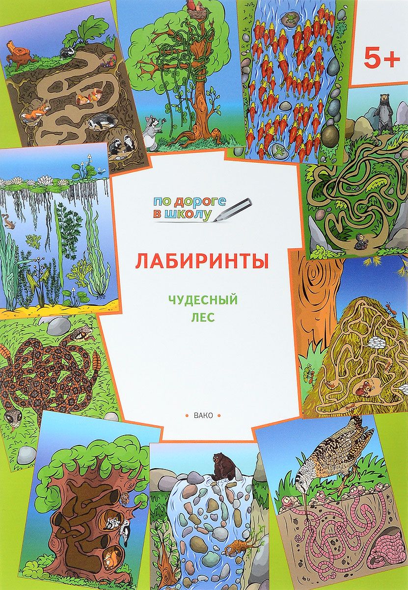 

Ум по Дороге В Школу. лабиринты. Чудесный лес. 5+ (Фгос) Медов.
