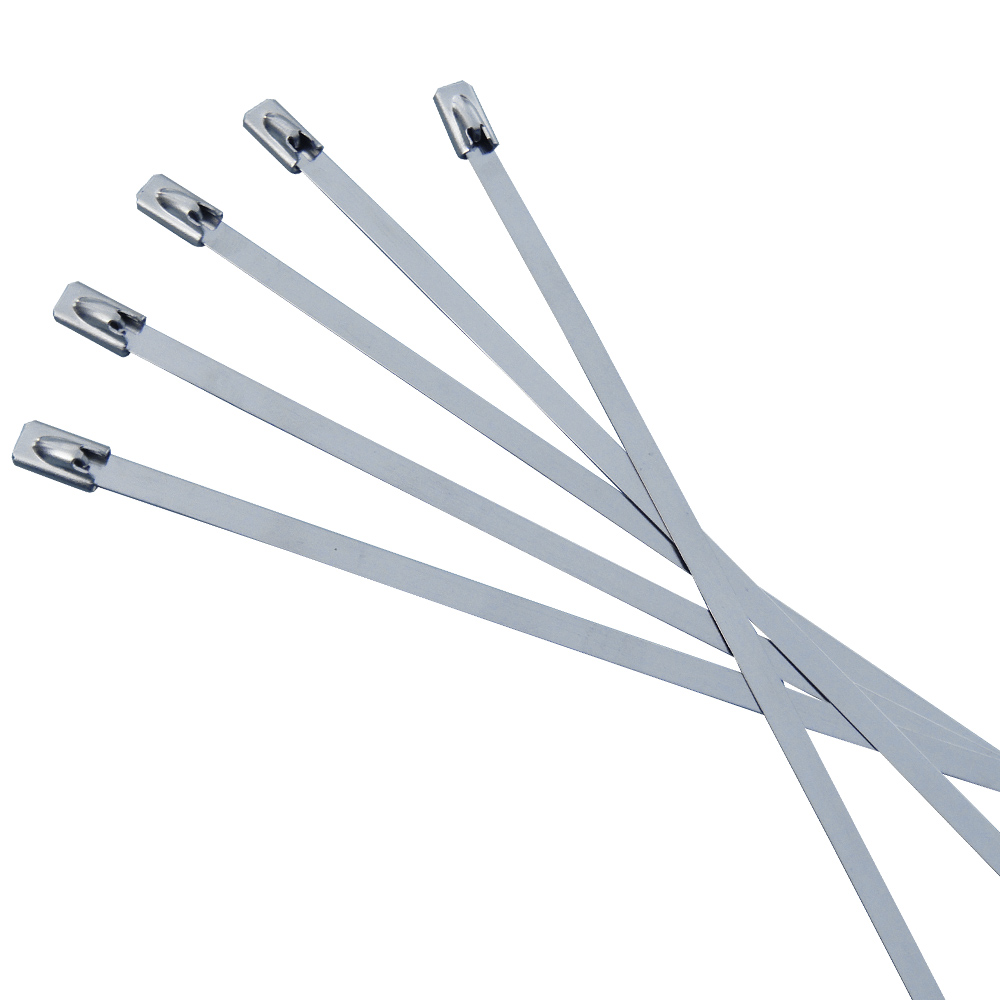 

Хомут EKF plc-fl-tss-316-12x290, Серебристый