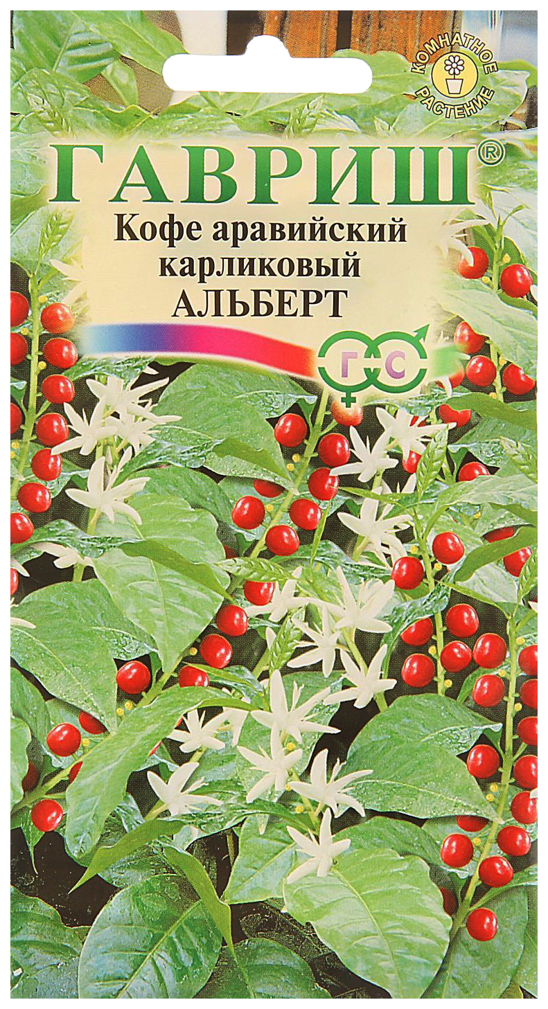 

Саженцы кофе Гавриш Альберт 101991 1 шт.