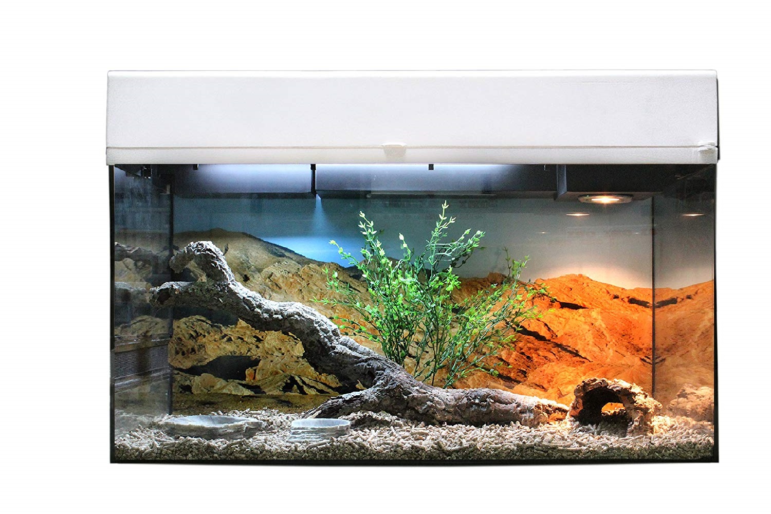 фото Террариум lucky reptile стартовый комплект для бородатых агам, белый, 80 x 52 x 40 см