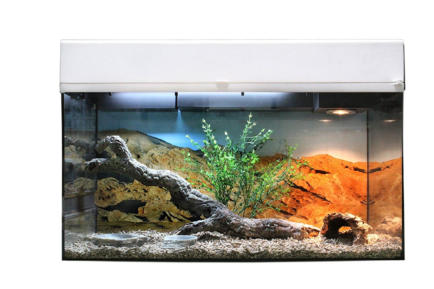 Террариум LUCKY REPTILE Стартовый комплект для Бородатых Агам, белый, 80 x 52 x 40 см