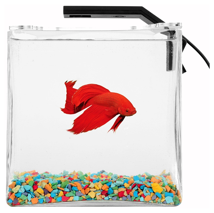 

Аквариумный комплекс для рыб Collar Betta Set, 2,7 л, Betta Set