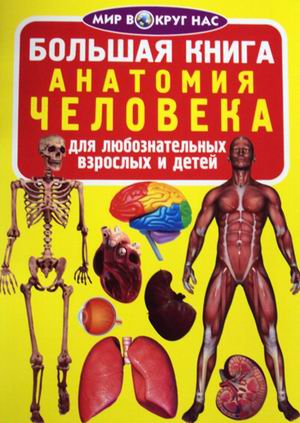 фото Большая книга. анатомия человека. для любознательных взрослых и детей кристалл бук