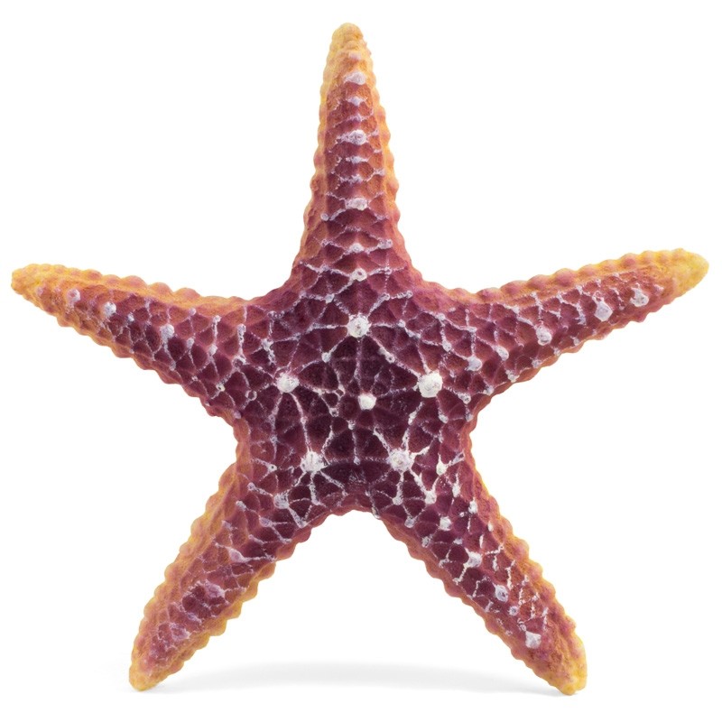 фото Грот для аквариума laguna морская звезда, полиэфирная смола, 16х16х3 см