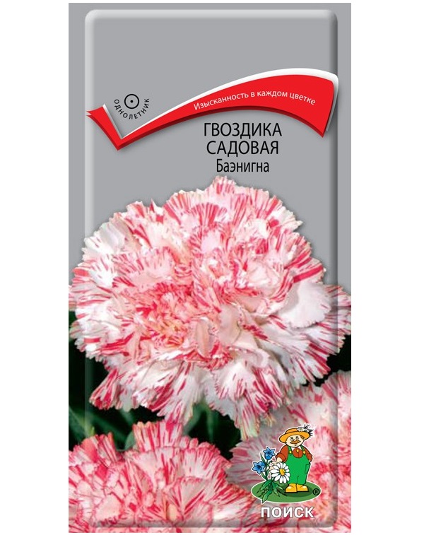 

Семена гвоздика Поиск Баэнигна 125065 1 уп.
