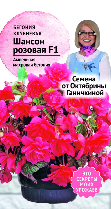 Семена бегония Семена от Октябрины Ганичкиной Шансон Розовая F1 1 уп.