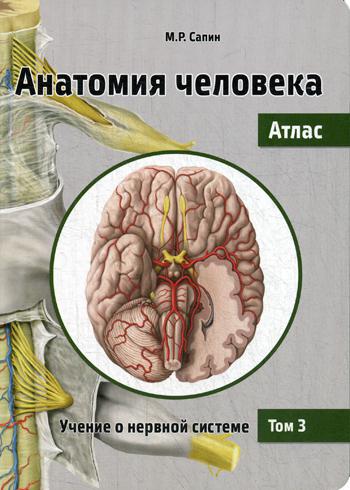 фото Анатомия человека практическая медицина