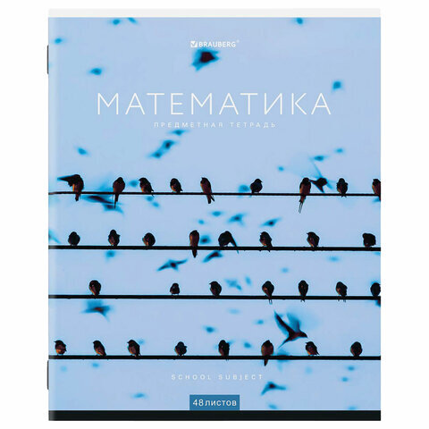 

Тетрадь предметная Brauberg КЛАССИКА NEW 404248 Математика 48 листов обложка картон клетка