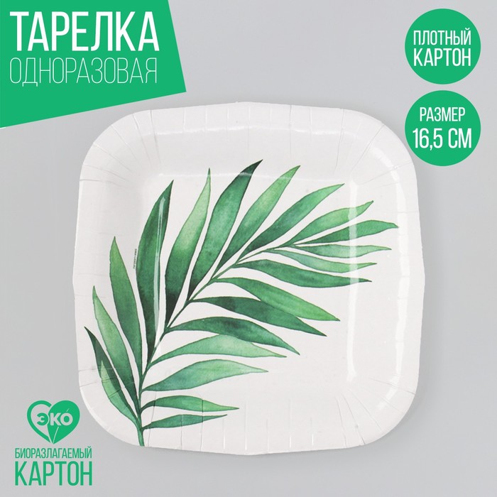 

Тарелка бумажная Страна Карнавалия Веточка эко, 10 шт, Белый