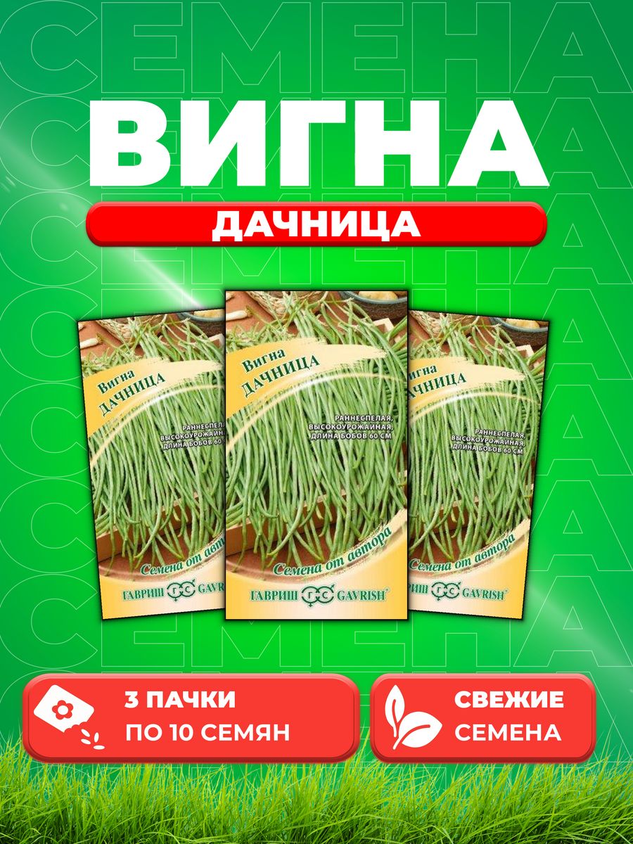 

Семена вигна Дачница Гавриш 1026997390-3 3 уп.