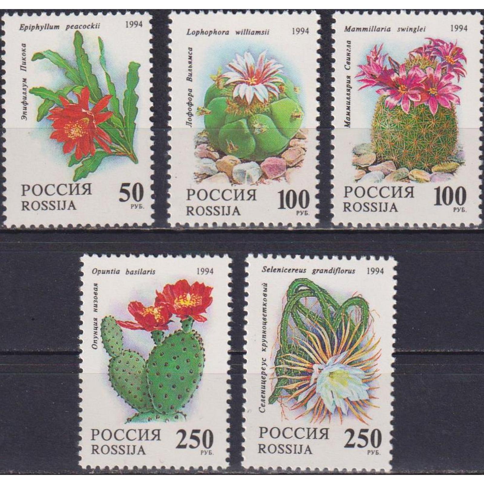 

Почтовые марки Россия Комнатные растения. Кактусы Цветы, Кактусы, ru144