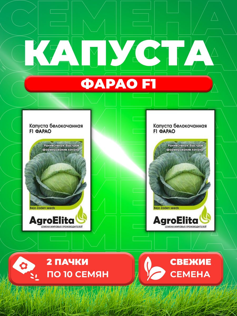 

Семена капуста белокочанная Фарао F1 AgroElita 1026998555-2 2 уп.