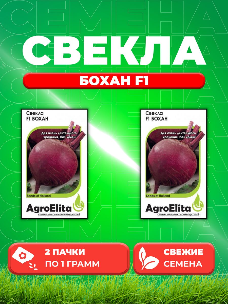 

Семена свекла AgroElita Бохан F1 1026998583-2 2 уп.