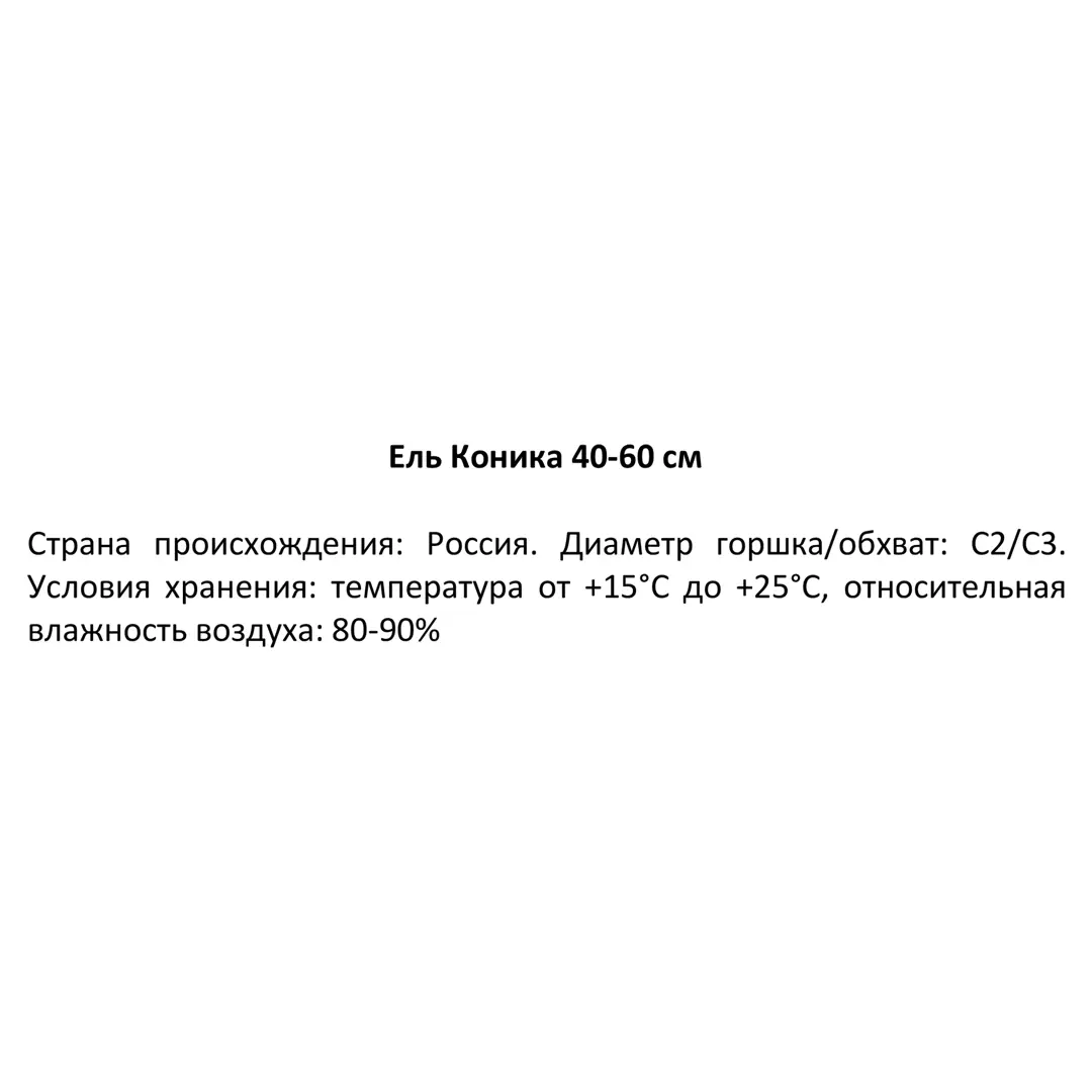 

Саженцы ель Коника C2 SSS-86170888 1 шт.