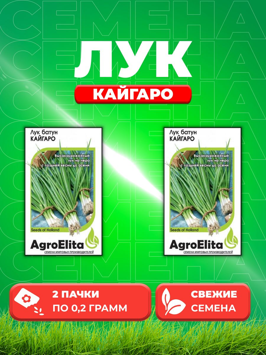 Семена Лук батун Кайгаро, 0,2г, AgroElita, Enza Zaden (2уп)