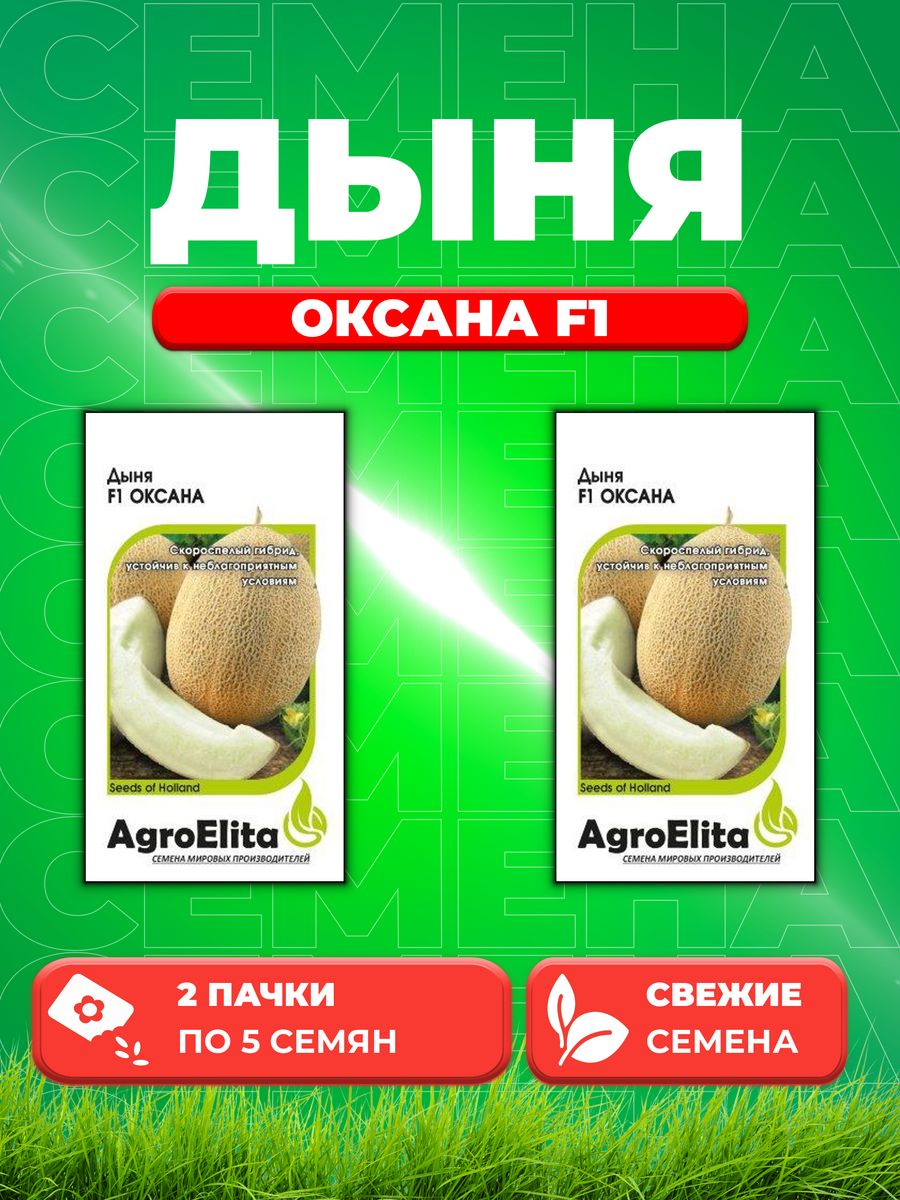 Семена Дыня Оксана F1, 5шт, AgroElita, Enza Zaden (2уп)