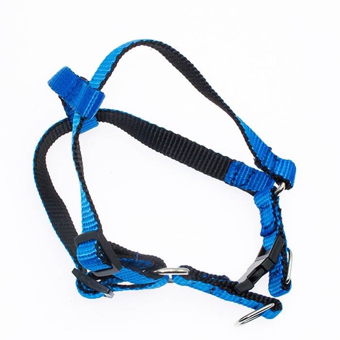 Шлейка для собак Дягилев с застежкой фастекс нейлоновая синяя S ДЛ 38-45 см Ш 15 мм